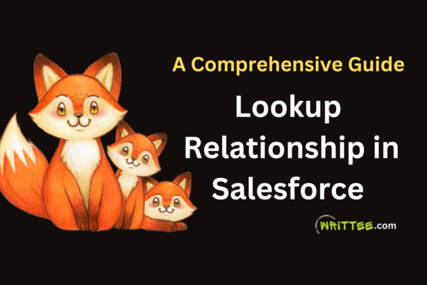 Lookup Relationship in Salesforce