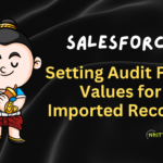 Setting Audit Field Values for Imported Records